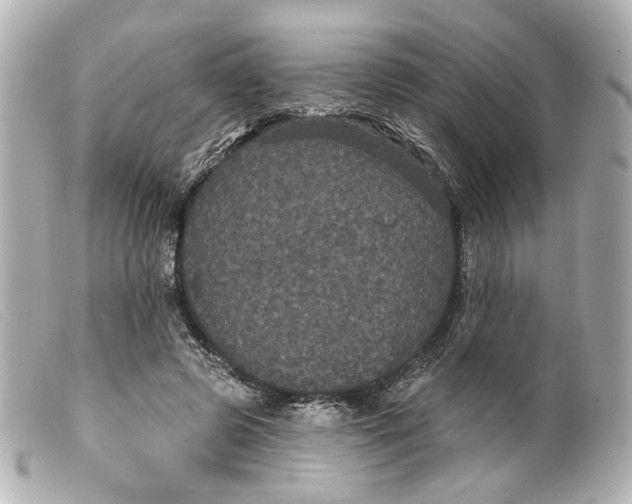 X0000099380545200805291130