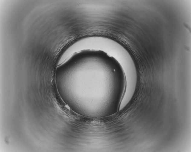 X0000099380546200805291130