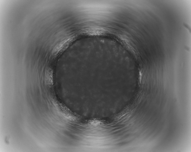 X0000099380547200805291130