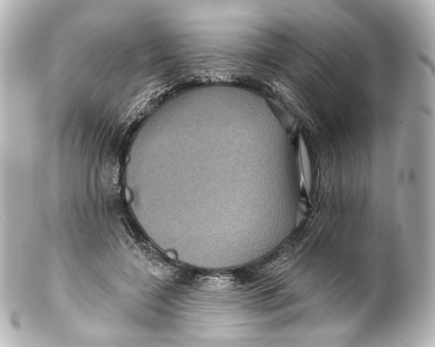 X0000099380548200805291130