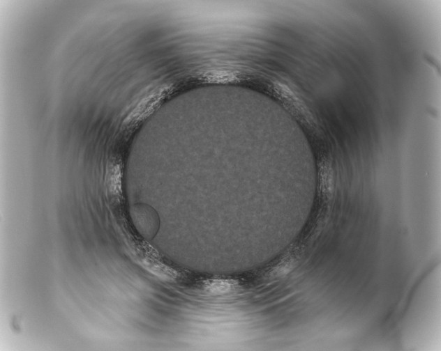 X0000099380549200805291130