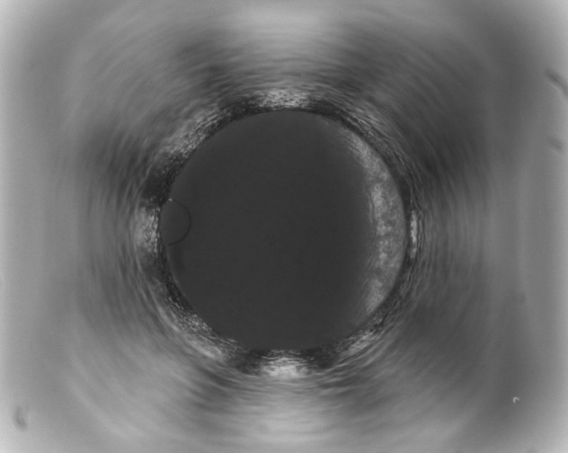 X0000099380551200805291131