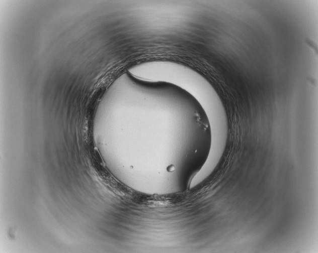 X0000099380552200805291131