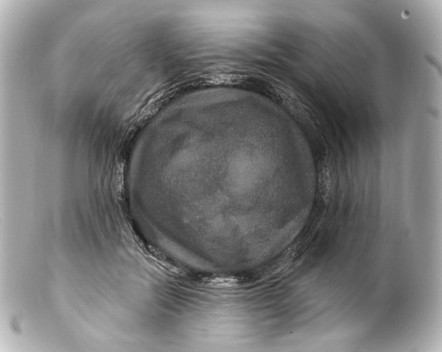 X0000099380554200805291131