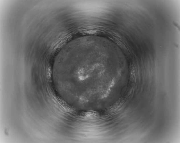 X0000099380555200805291131