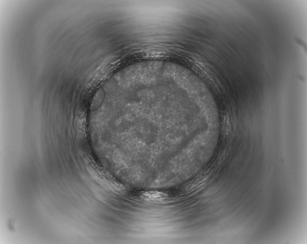 X0000099380557200805291131