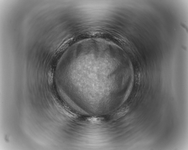 X0000099380558200805291131