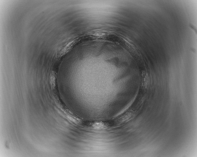 X0000099380562200805291131