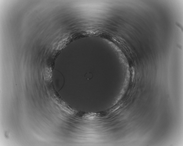 X0000099380563200805291131