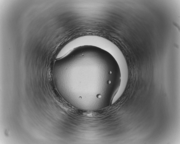 X0000099380564200805291131