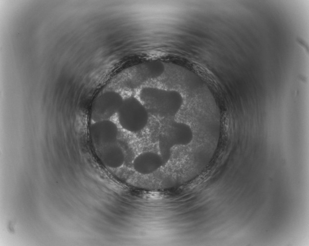 X0000099380565200805291131