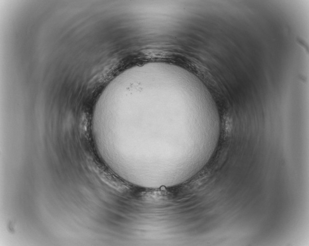 X0000099380567200805291131