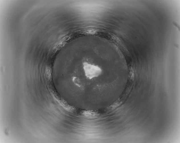 X0000099380568200805291131