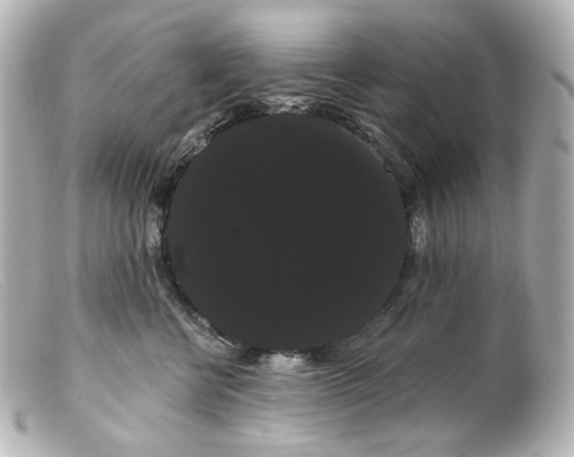 X0000099380570200805291131