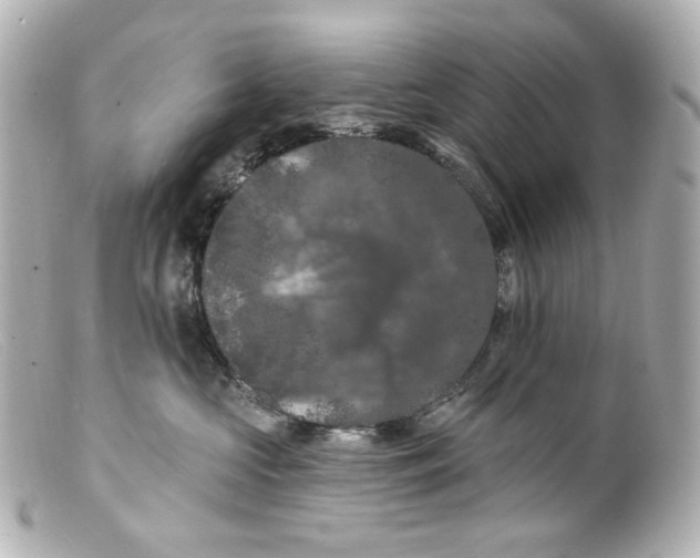 X0000099380573200805291131