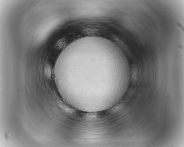 X0000099380574200805291131