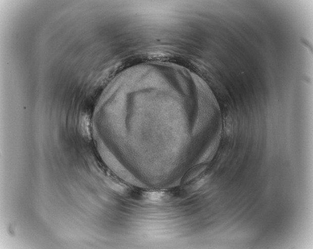 X0000099380575200805291131