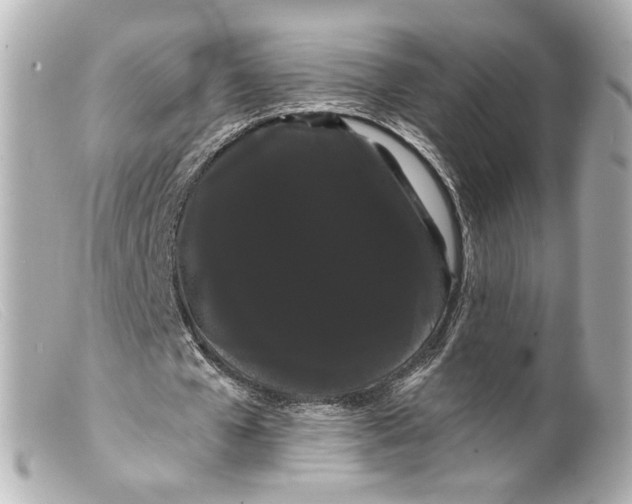 X0000099380577200805291130