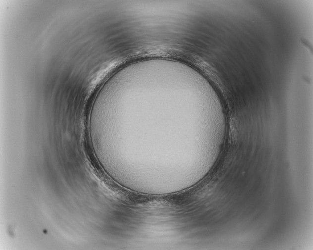 X0000099380578200805291130