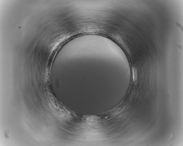 X0000099380579200805291130