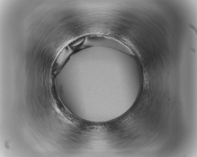 X0000099380580200805291130