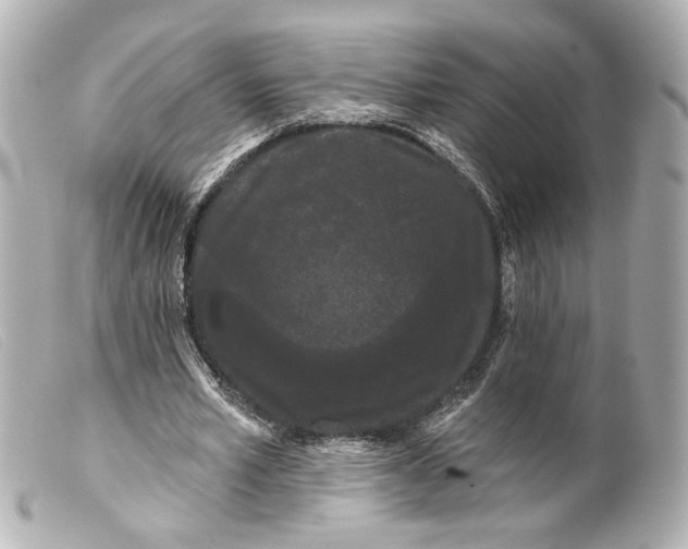 X0000099380581200805291130