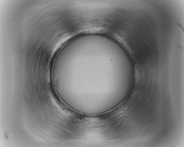 X0000099380582200805291130