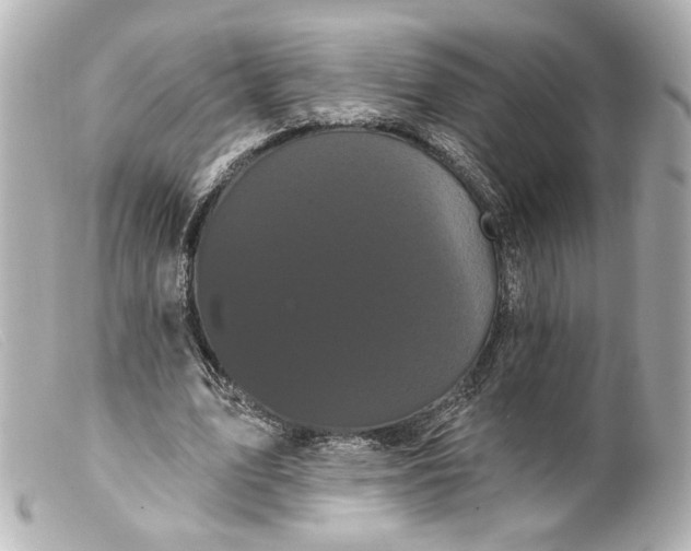 X0000099380583200805291130