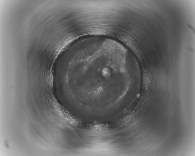 X0000099380584200805291130