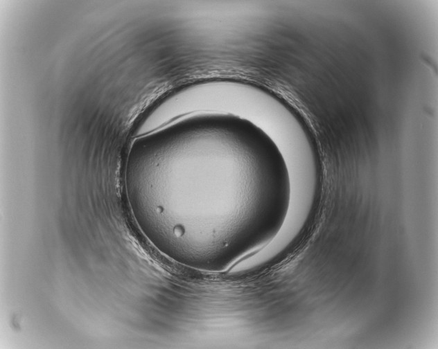 X0000099380585200805291130