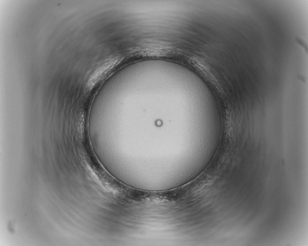 X0000099380586200805291130