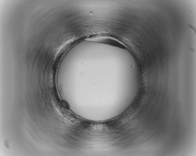 X0000099380587200805291130