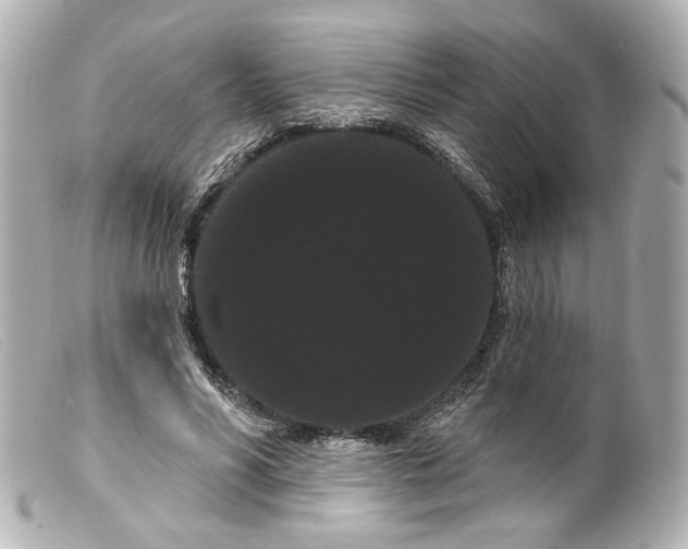 X0000099380590200805291130