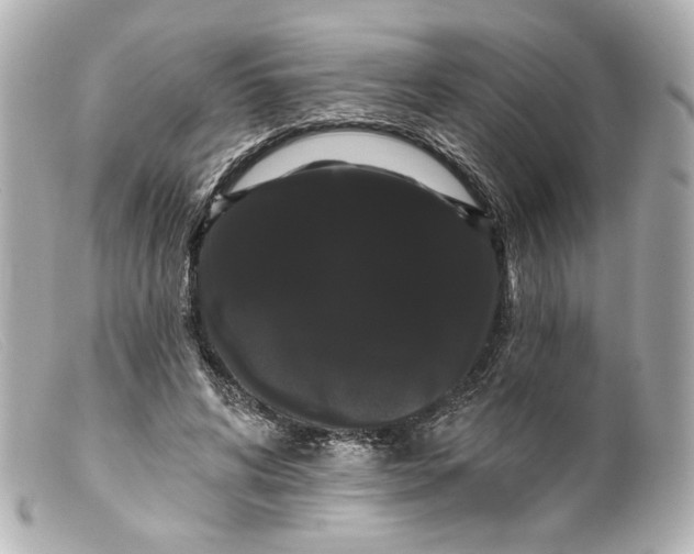 X0000099380592200805291130