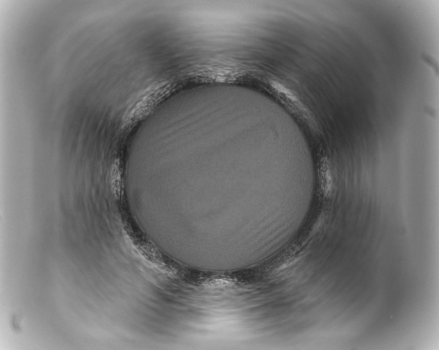 X0000099380594200805291130