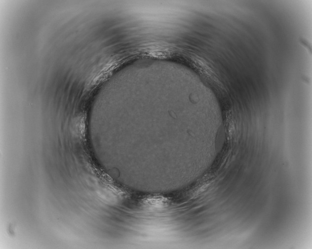 X0000099380595200805291130