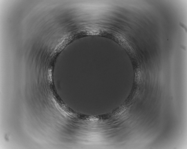 X0000099380598200805291130