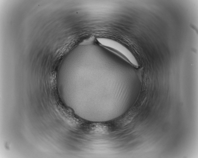 X0000099380601200805291130