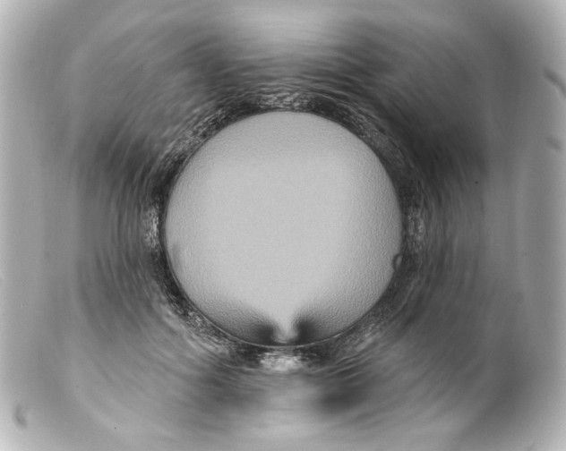 X0000099380602200805291130