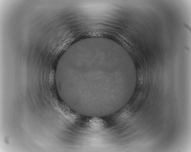 X0000099380603200805291130