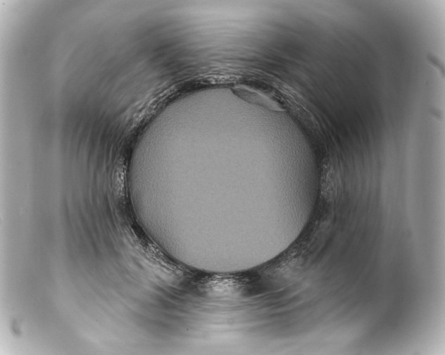 X0000099380604200805291130