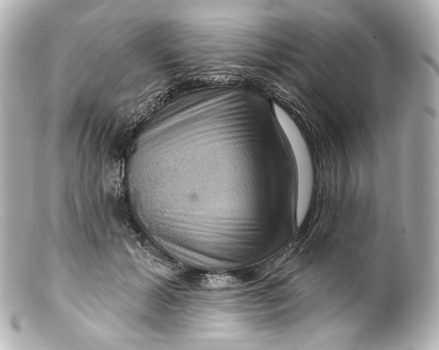 X0000099380605200805291130