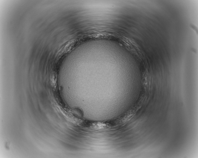 X0000099380607200805291130