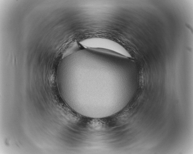 X0000099380608200805291130