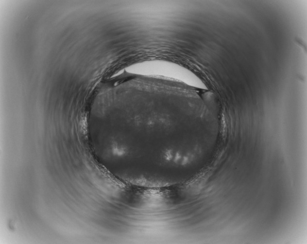 X0000099380613200805291130