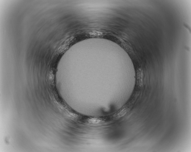 X0000099380614200805291130