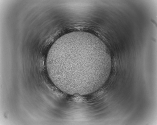 X0000099380615200805291130