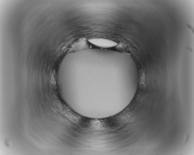 X0000099380616200805291130