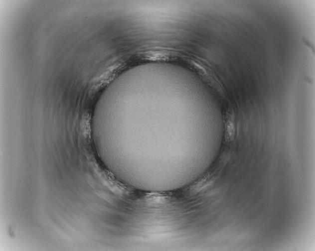 X0000099380620200805291129