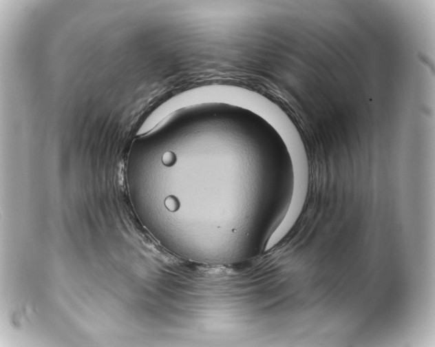 X0000099380621200805291129